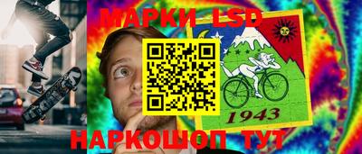 гидропоника Пенза