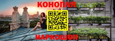 гидропоника Пенза