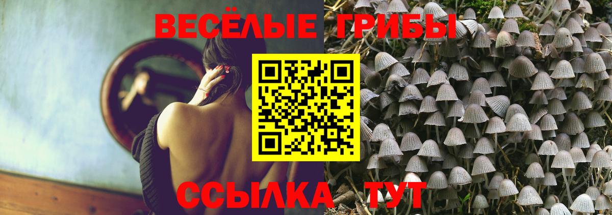 сколько стоит  Галлюциногенные грибы Psilocybe  Вход с VPN  Семилуки 