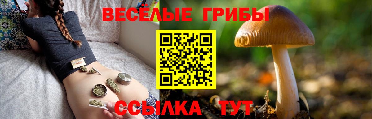 Галлюциногенные грибы MAGIC MUSHROOMS Семилуки